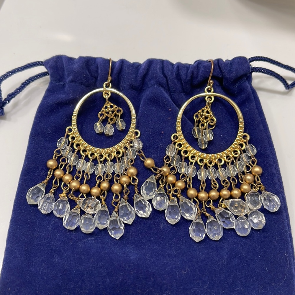 🌟HP🌟Beautiful earrings